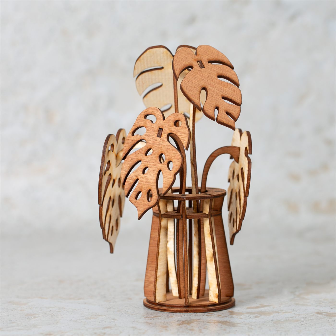 Monstera Plant Model